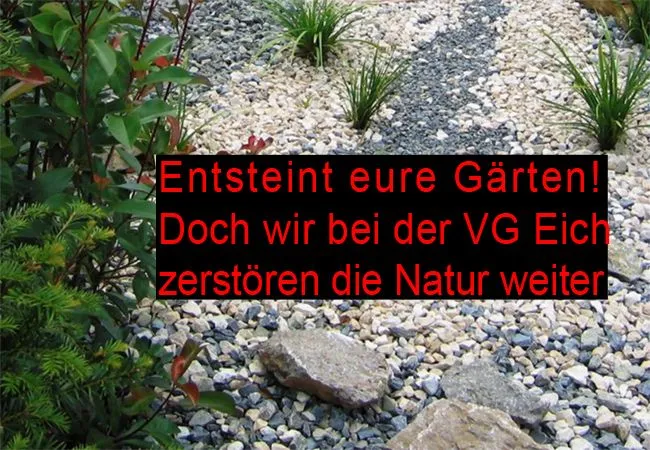 Maximilian Abstein VG Eich – Entsteint Eure Gärten wir zerstören weiter die Natur Insekten und Bienen