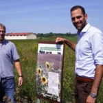 Maximilian Abstein VG Eich wirbt am Weltbauerntag für mehr Blühstreifen