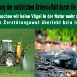 Zerstörung der natürlichen Artenvielfalt durch die VG Eich Maximilian Abstein Bernd Hermann und Klimaschutzmanager Sebastian Weber