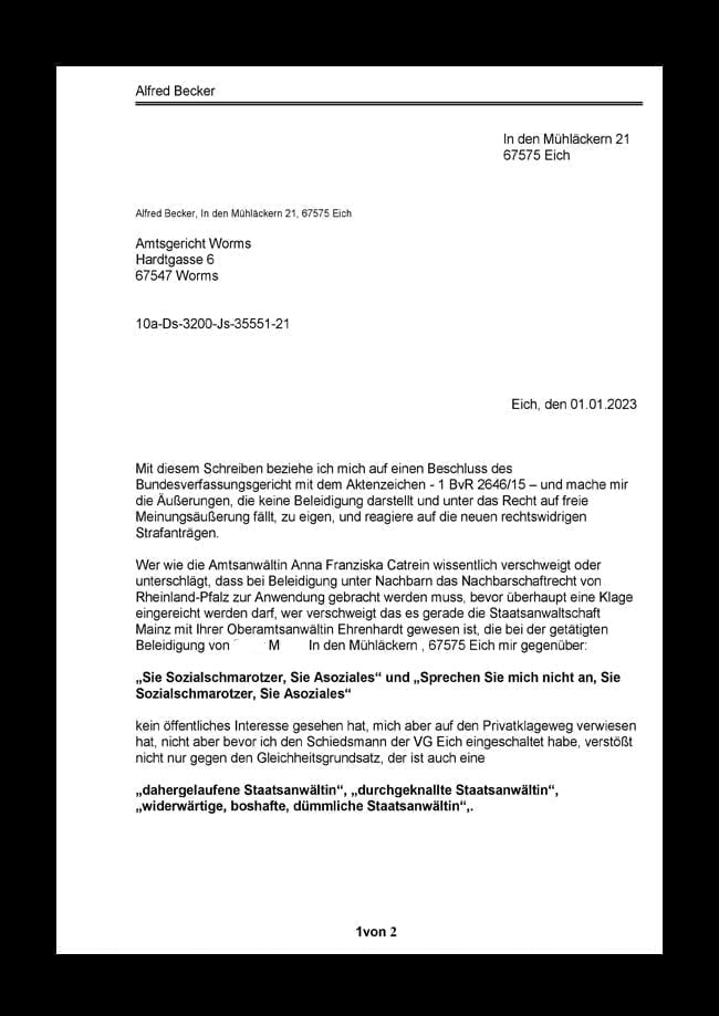 Wann stellt die Staatsanwältin Catrein bei der Staatsanwaltschaft Mainz einen Strafbefehl wegen Beleidigung-01